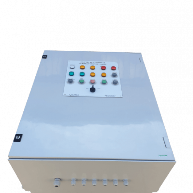 Coffret electrique de commande pompes fosse deportee